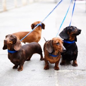 boutique_torinese_di_Harmont_&_Blaine_box