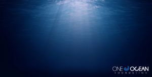 One Ocean Foundation